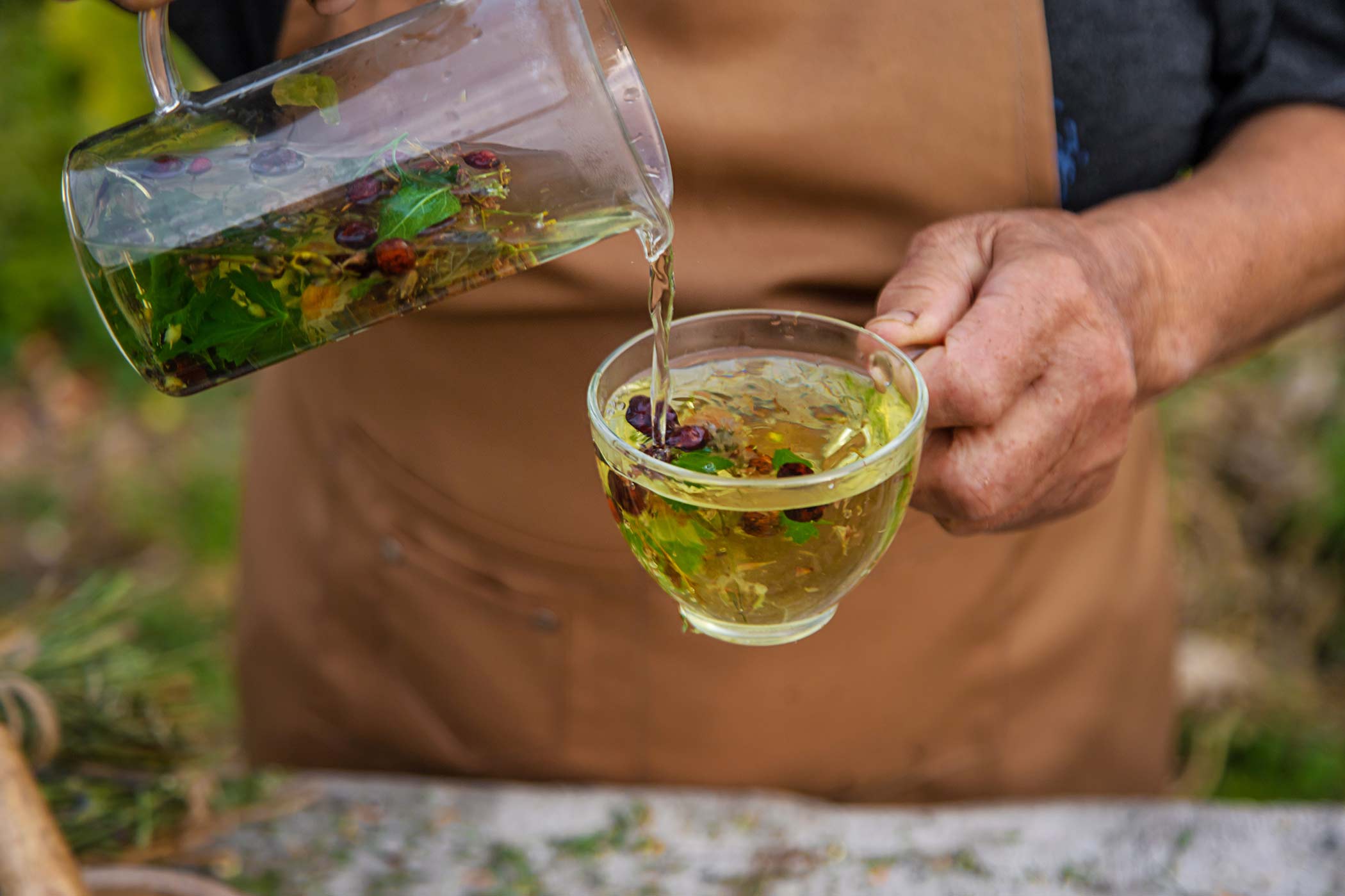 Infusoes Cómo elegir tu infusión ideal según estado de animo