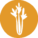 Restaurante Alfafar