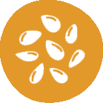 Frutos de cáscara
