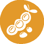 Restaurante Alfafar